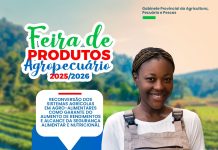 Abertura do ano agrícola em Luanda acontece no Kilamba