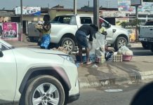 A arte de não fazer nada