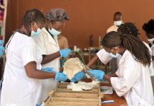 Administração do Kilamba aposta na educação ambiental