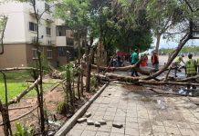 No Kilamba fortes chuvas causam a queda de várias árvores e inundações